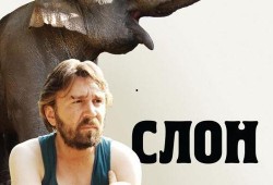 电影 大象 在线观看