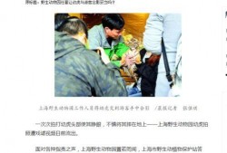 长春动物园爆料事件视频,惊人一幕引发公众关注
