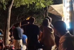 墨子涵艺爆料视频大全集,揭秘娱乐圈幕后真相